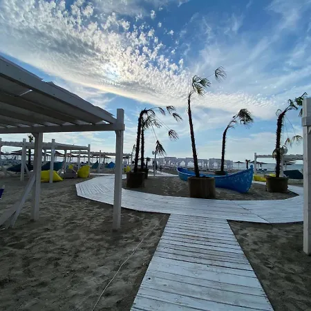 Alex's 那沃达利
